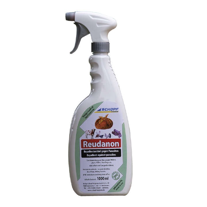 SCHOPF HYGIENE Reudanon